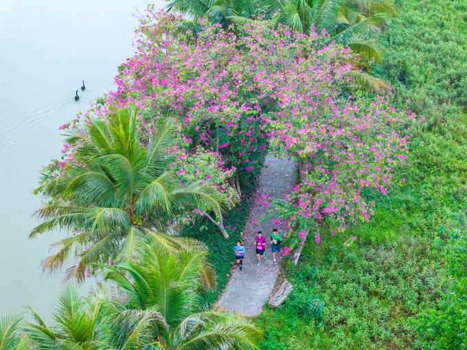 VĐV chạy ngang không gian cây xanh, mặt nước. Ảnh: Ecopark