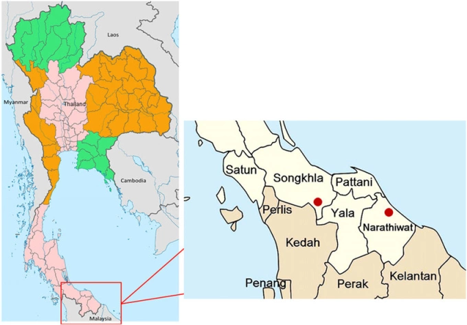 Vị trí tỉnh Narathiwat ở miền nam Thái Lan. Đồ họa: ResearchGate