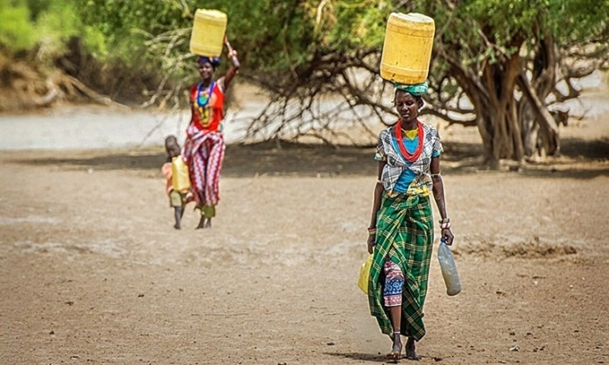 Phụ nữ Turkana thường đội nước đi bộ hàng kilomet giữa sa mạc. Ảnh: Medical Xpress
