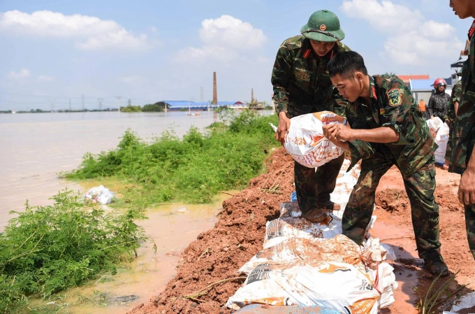 Cán bộ, chiến sĩ thuộc Trung đoàn 141 và Trung đoàn 2 để thu hoạch rau màu, chạy lũ và đắp đê tại xã Hợp Thịnh, tỉnh Bắc Ninh. Ảnh: Anh Hùng