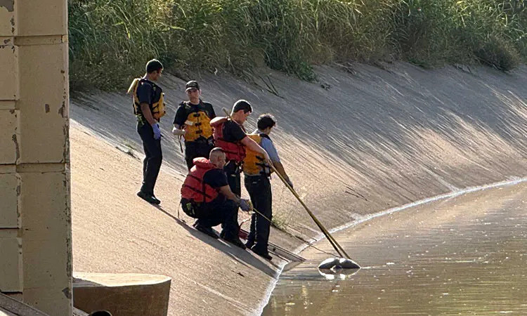 Loạt thi thể trôi sông ở Houston gây lo ngại về kẻ giết người hàng loạt