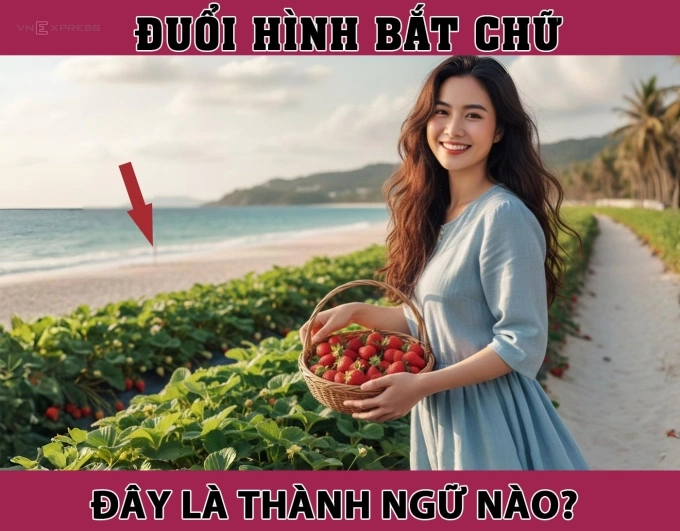 Nhiều người không biết đây là thành ngữ nào, còn bạn?