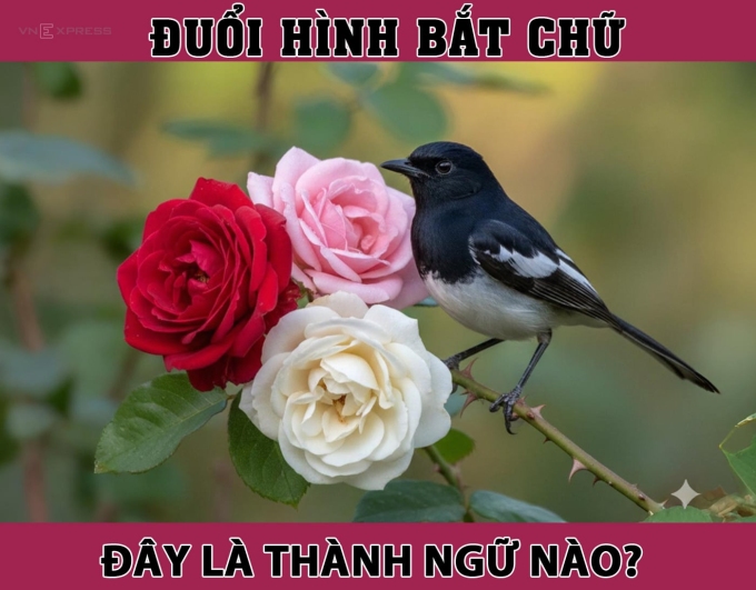 Chú chim này đang bật mí câu thành ngữ nào?