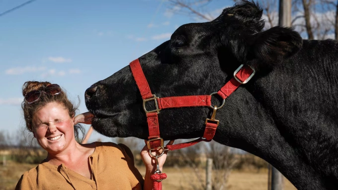 Jasmine Entz và bò Beef cao nhất thế giới ở tỉnh Alberta, Canada. Ảnh: Canadian Press