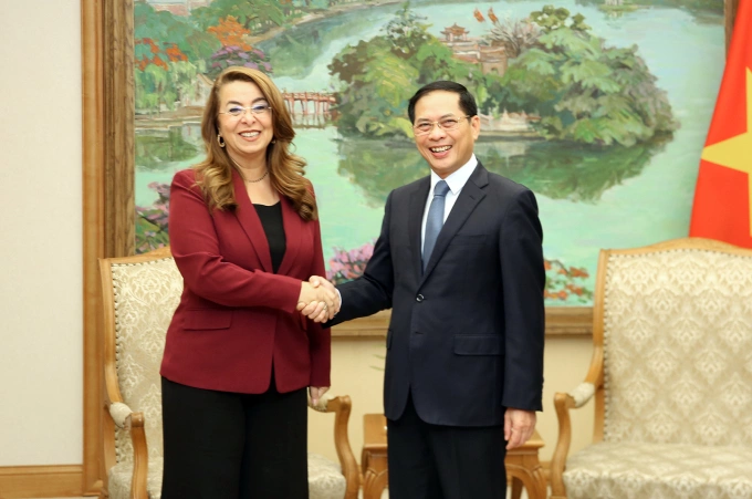 Phó thủ tướng Bùi Thanh Sơn tiếp xã giao bà Ghada Waly tại trụ sở chính phủ ngày 21/10. Ảnh: VGP