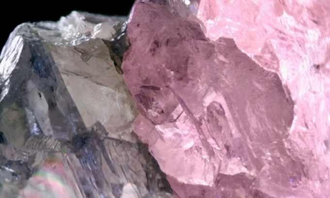 Ranh giới giữa hai nửa màu sắc khác nhau của viên kim cương rất rõ rệt. Ảnh: GIA