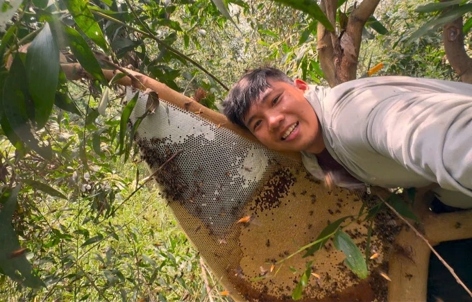 Quay clip về nghề gác kèo ong là cách Thái tiếp cận khách hàng. Ảnh: An Minh