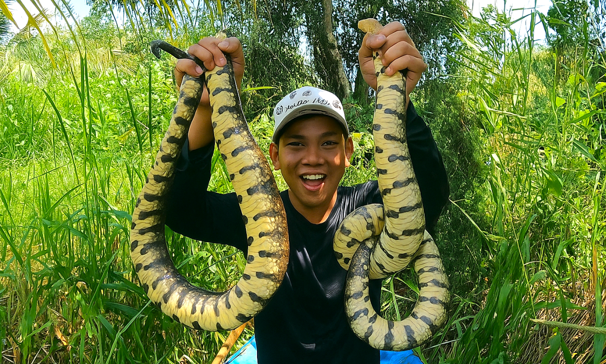 Chàng trai thu hàng trăm triệu đồng nhờ sản vật dưới rừng tràm