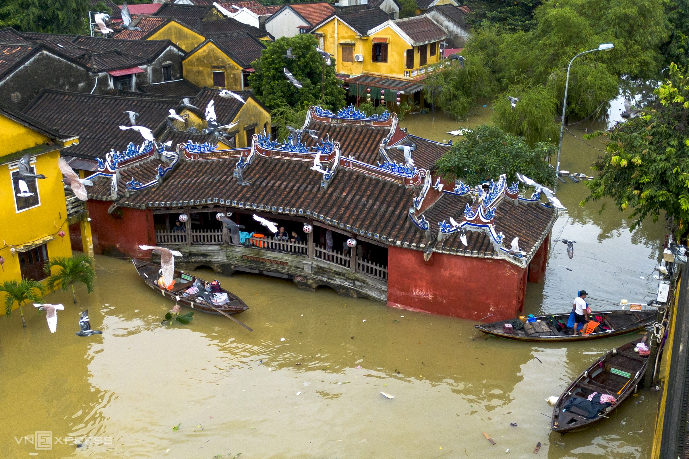 Chùa Cầu - biểu tượng của phố cổ Hội An, bị lũ bủa vây chiều 3/11. Người dân phải dùng thuyền di chuyển trong phố cổ khi những tuyến đường ven sông ngập khoảng 2 m trong ngày nước lũ dâng cao. Ảnh:Nguyễn Đông