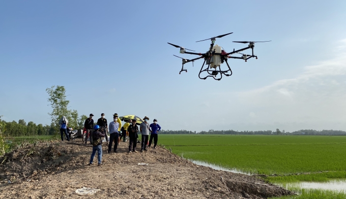 Drone được sử dụng để phun thuốc trên cánh đồng huyện Tam Nông, tỉnh Đồng Tháp. Ảnh: Nghĩa Lâm