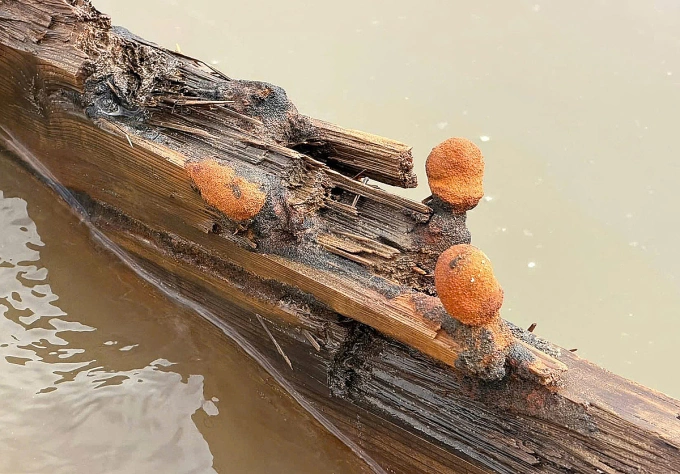 Thân tàu lộ rõ dấu vết thời gian. Ảnh: Người dân cung cấp