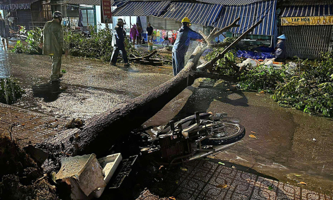 Cây đổ đè xe máy trên đường, lực lượng chức năng cắt cây thành nhánh nhỏ để di dời. Ảnh: Thái Hà