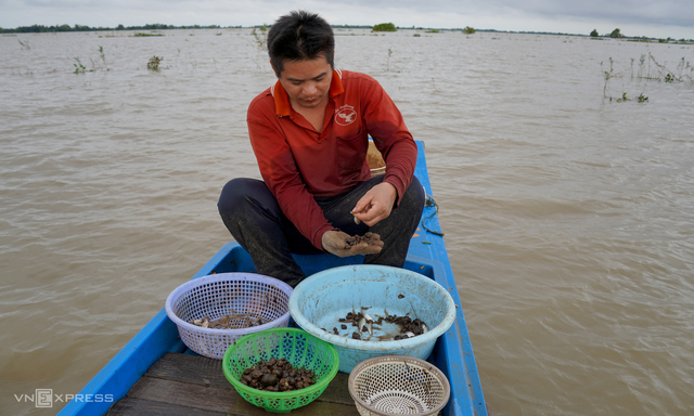 Năm nay lũ tuy cao hơn những năm trước nhưng cá tôm không nhiều, trong lú chỉ có mớ óc, cua cùng cá nhỏ. LuMT-3-1762830411-8552-1762830774.jpg