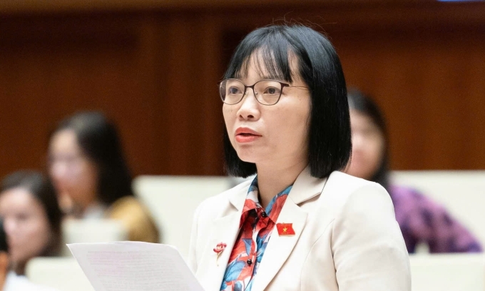 Phó trưởng đoàn đại biểu TP Hải Phòng phát biểu tại phiên họp sáng 14/11. Ảnh: Media Quốc hội