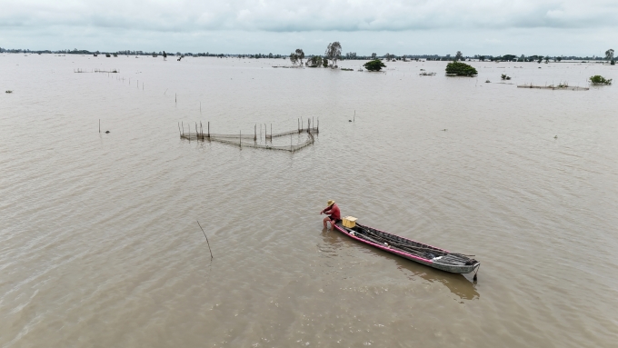 Nông dân lưới cá trên cánh đồng lũ ở xã Bình Thạnh, Đồng Tháp cuối tháng 10. Ảnh: Hoàng Nam