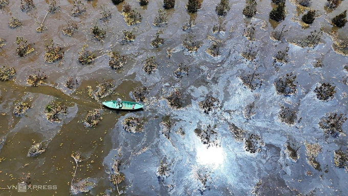 Vườn mít hơn 3000 cây của nông dân ở xã Vĩnh Châu (Tây Ninh) chết héo sau hai lần vỡ đê bao, thiệt hại hơn 1,5 tỷ đồng. Ảnh: Hoàng Nam