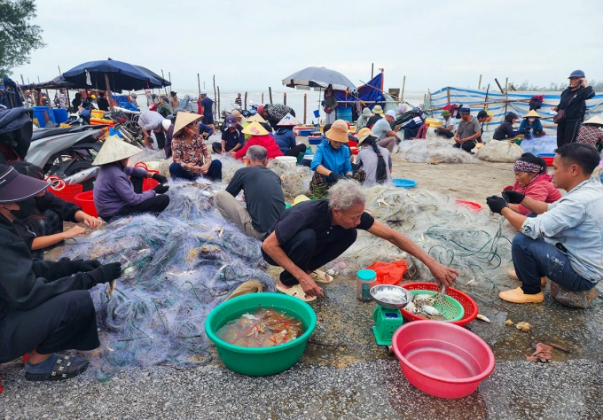 Ngư dân tập trung gỡ ghẹ. Ảnh: Đức Hùng