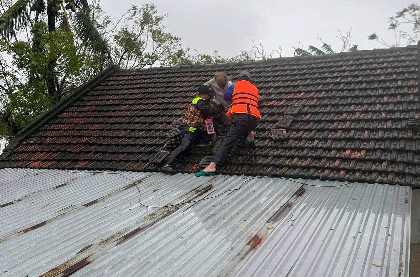 z7244977734064-4049b102cd1b6d5-7776-9700