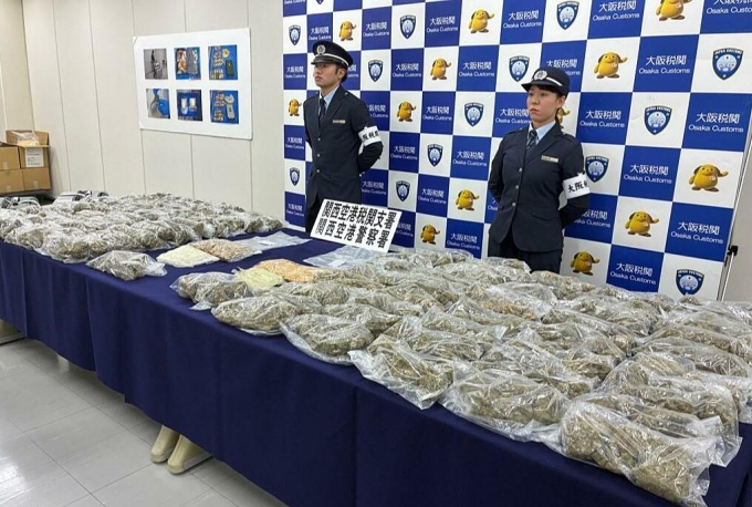 Lượng cần sa thu giữ trong vụ phát hiện tại sân bay Kansai hồi tháng 10. Ảnh: ABC News