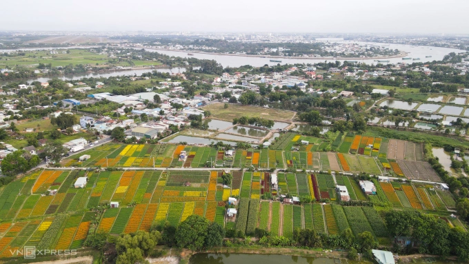 Làng hoa Tân Ba, khu vực Bình Dương. Ảnh: Phước Tuấn