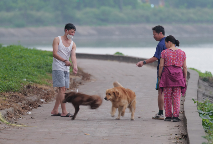 Thực tế ở các đô thị lớn Người dân dắt chó đi dạo nhưng không rọ mõm tại Hà Nội