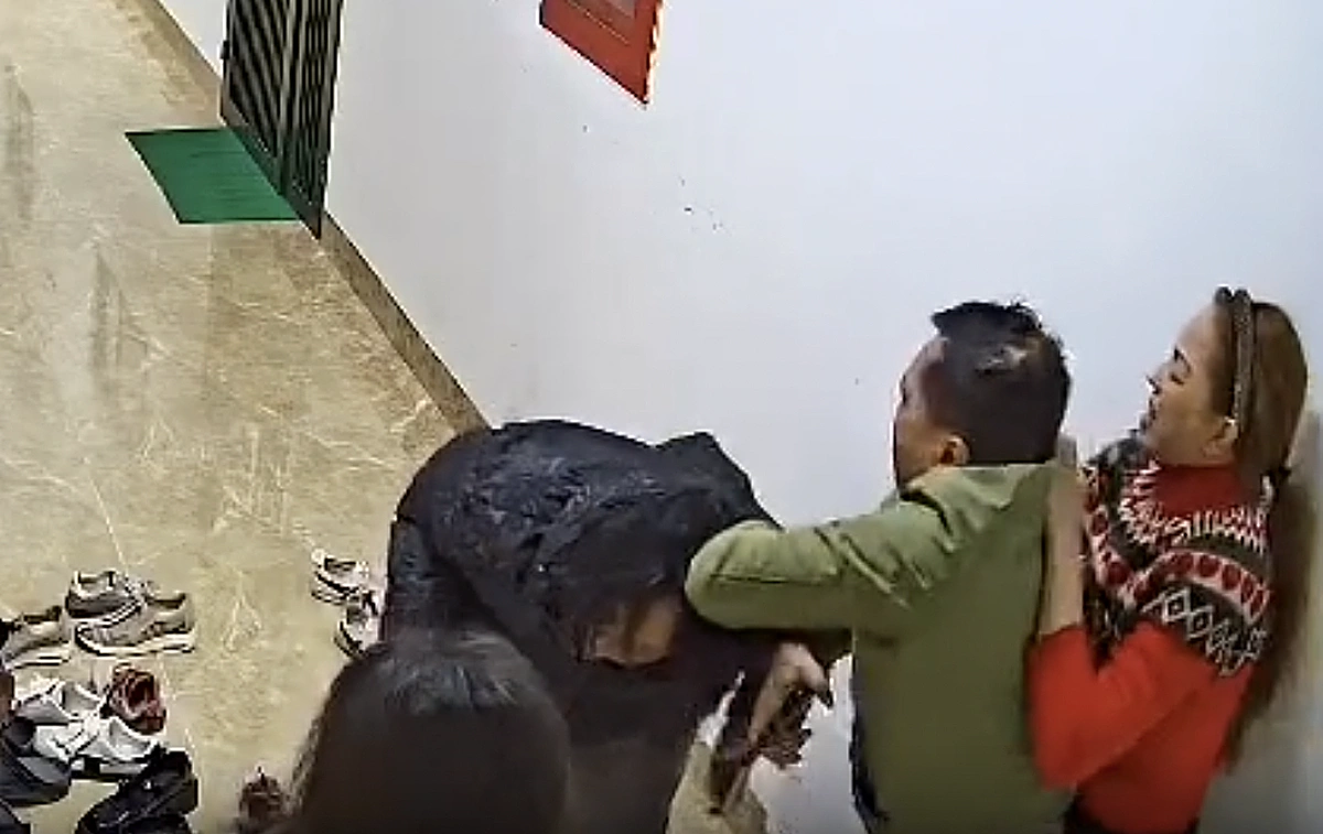 Người phụ nữ đánh hàng xóm tại chung cư ở Hà Nội bị tạm giữ - Báo VnExpress