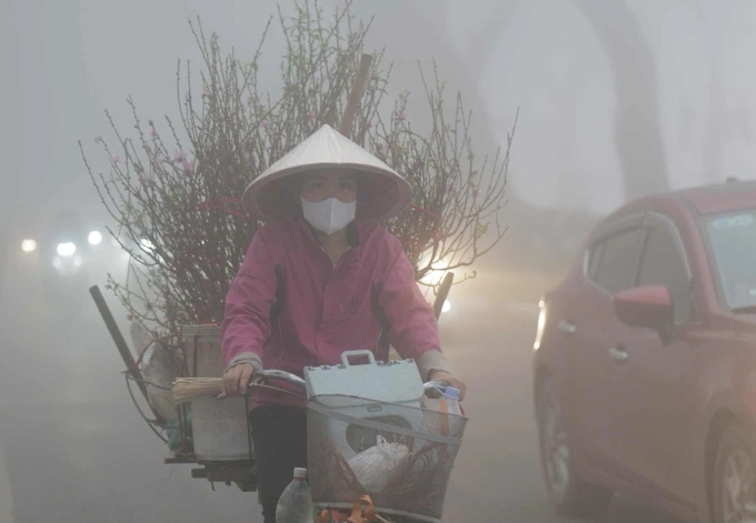 Người phụ nữ chở đào đi bán trong sương mù, giá rét đông 2024-2025 ở Hà Nội. Ảnh: Thanh Hải