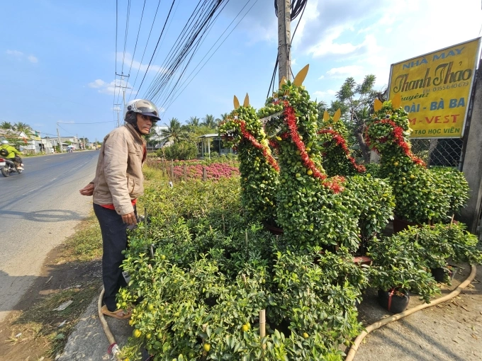 Người đi đường xem tắc ngựa tại nhà ông Dự. Ảnh: Hoàng Nam