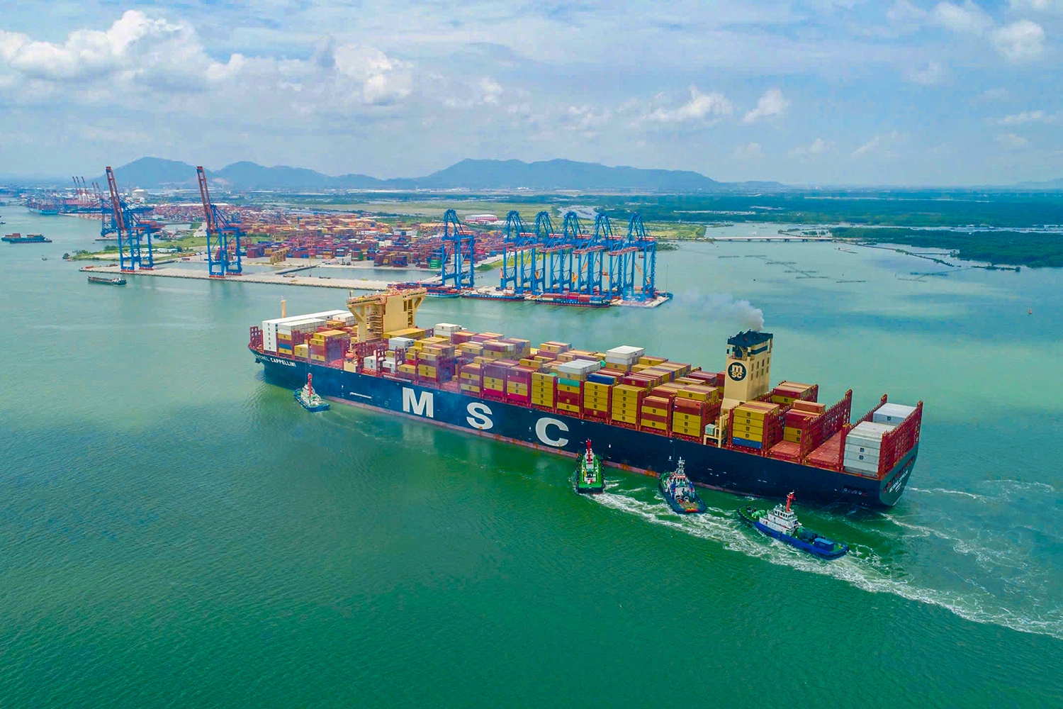Vận chuyển đồ gỗ từ Bình Dương ra cảng Cái Mép: Quy trình giao nhận