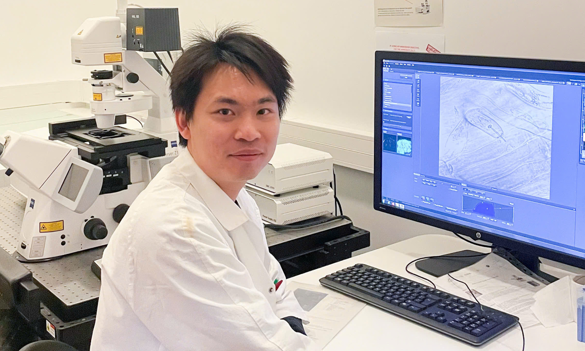 Tiến sĩ Việt giải mã tiềm năng chữa ung thư máu từ gạo và cỏ dại