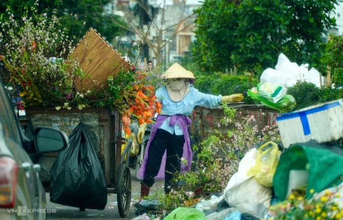Sau Tết Nguyên đán, lượng rác tăng cao do người dân dọn cây đào, quất và hoa cảnh. Ảnh: Lê Hoàng