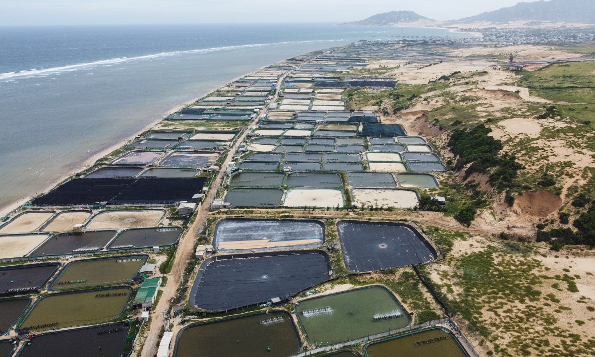 Phạt 2 tỷ đồng nếu để xảy ra sự cố hạt nhân