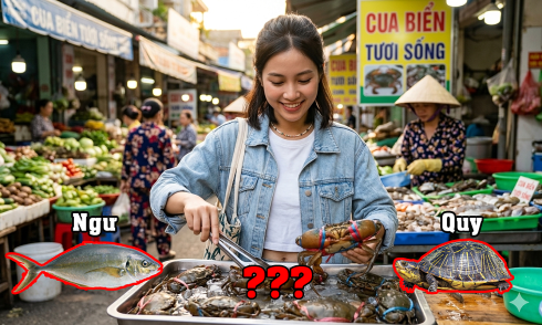 Chơi chữ: xe nào không bao giờ giảm đi?