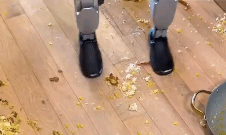 Loạt sự cố hài hước của robot hình người