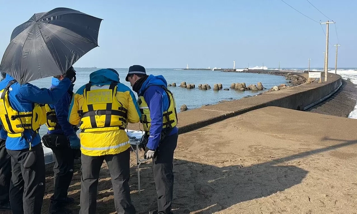 Ba người Việt bị sóng cuốn mất tích khi câu cá ở Nhật