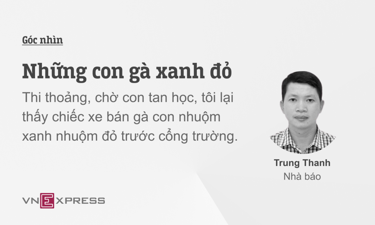 Những con gà xanh đỏ