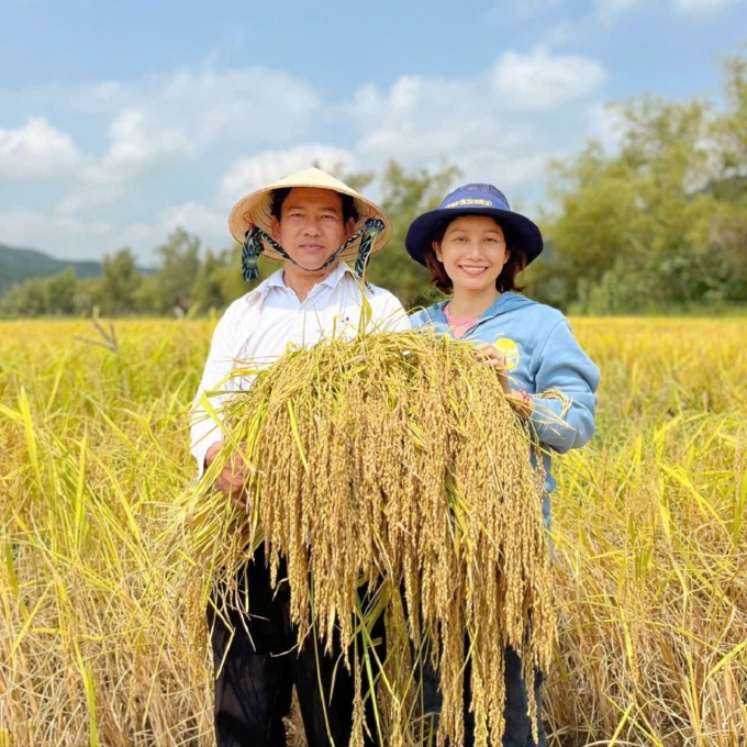 Tiến sĩ Nguyễn Thanh Liêm và vợ cầm những bông nếp từ giống đã được phục tráng trên cánh đồng Sa Huỳnh. Ảnh: Nhân vật cung cấp