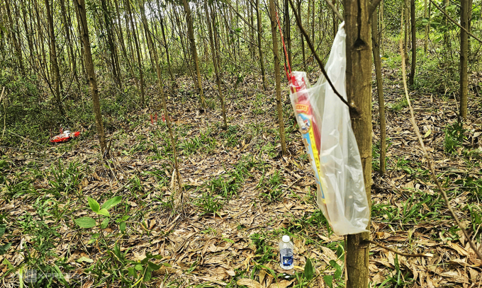 Khu vực phát hiện thi thể tài xế taxi. Ảnh: Đắc Thành