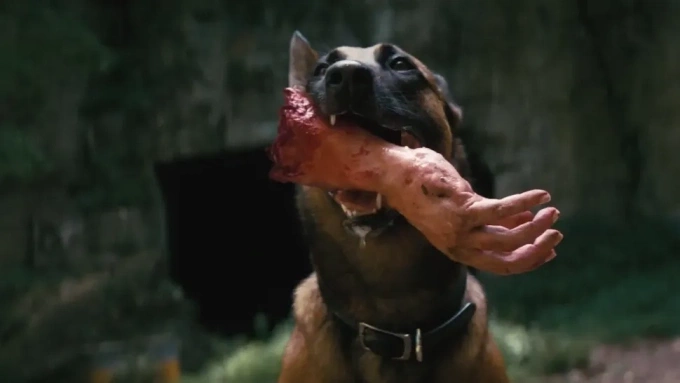 Một trong những khoảnh khắc tạo nên thương hiệu của Dogmeat. Một trong những khoảnh khắc tạo nên thương hiệu của Dogmeat.