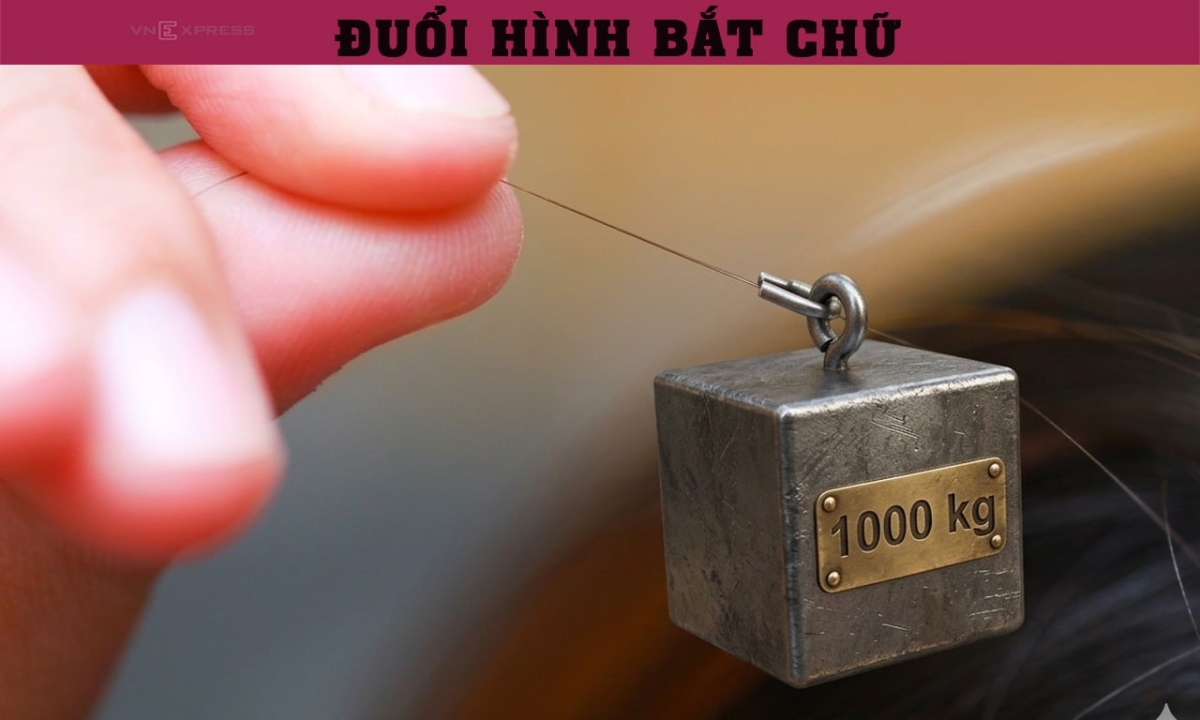 Một sợi tóc 'cân' cả tấn, bạn đoán ra thành ngữ chưa?