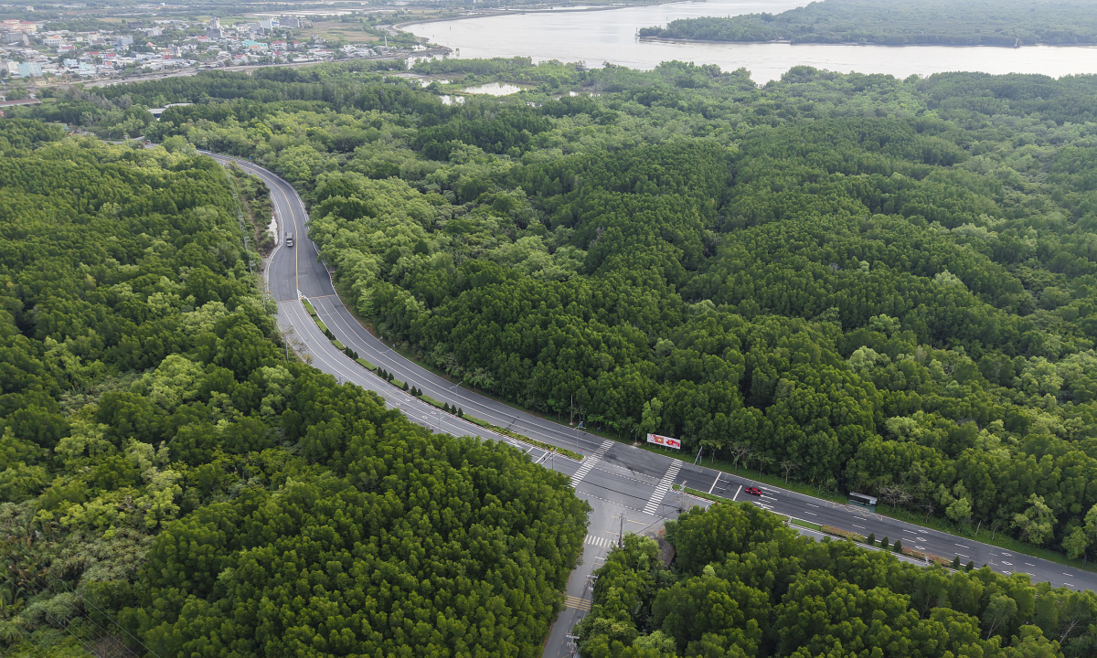 Hôm nay đóng cổng đăng ký sớm VM Green Paradise Cần Giờ