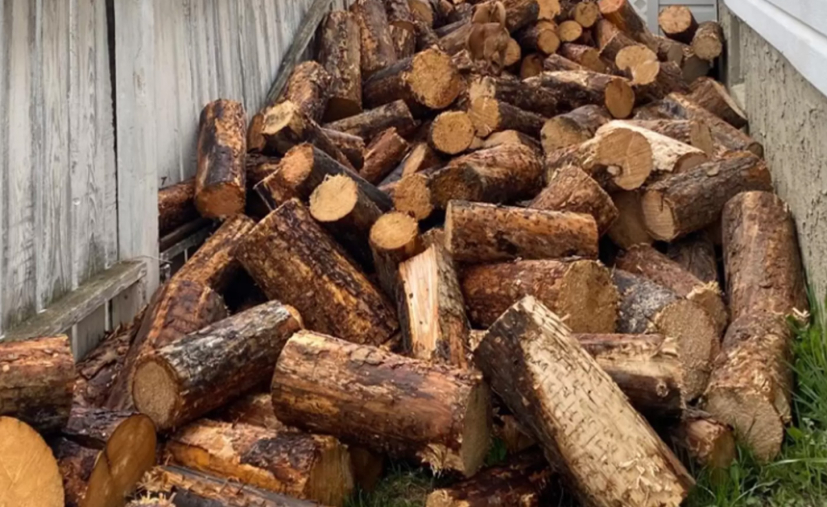 Đố bạn tìm thấy chú cún ẩn mình trong 30 giây