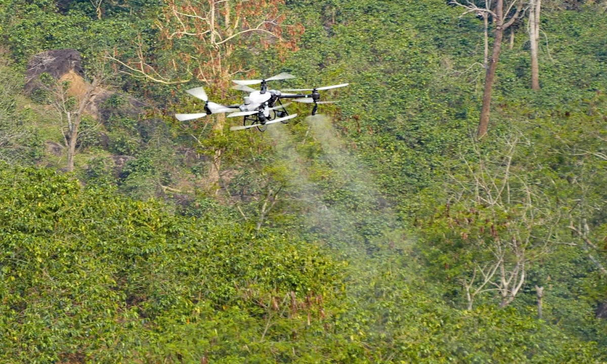 Điện Biên thử nghiệm UAV phun phân bón cho cây cà phê