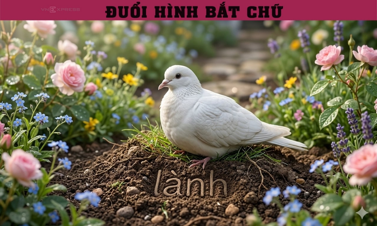 Bạn có nhận ra thành ngữ quen thuộc này không?
