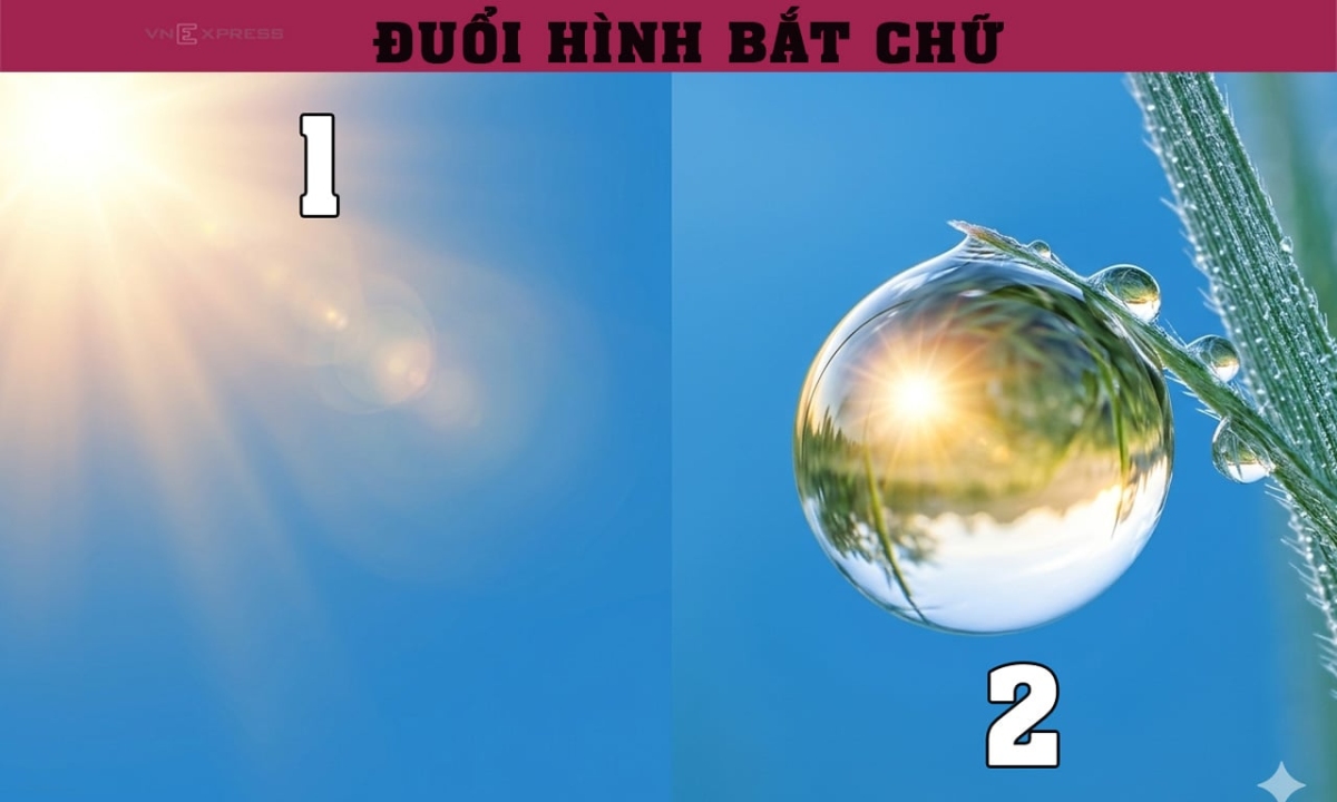 Nhìn hình ảnh bạn có đoán được câu thành ngữ này là gì?