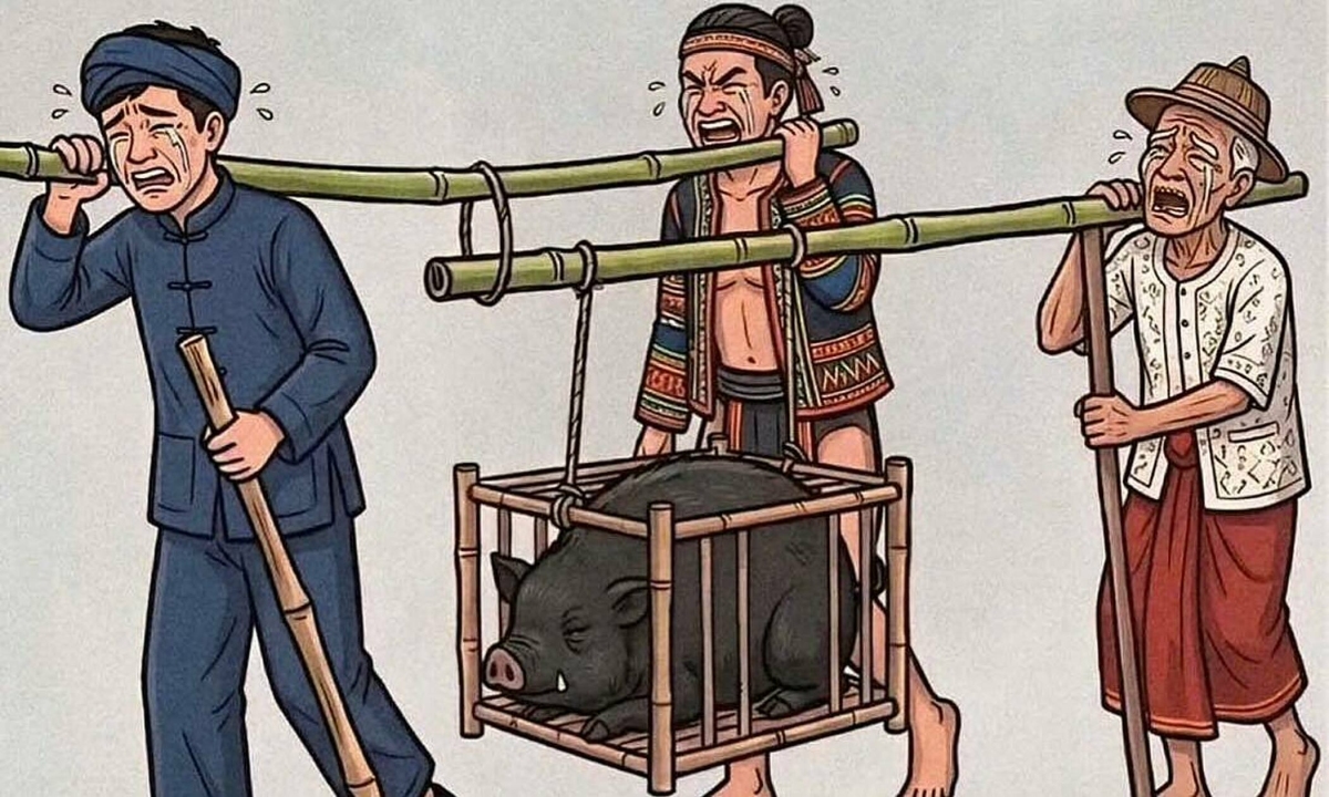 Ba người khiêng lợn, ai nặng nhất?