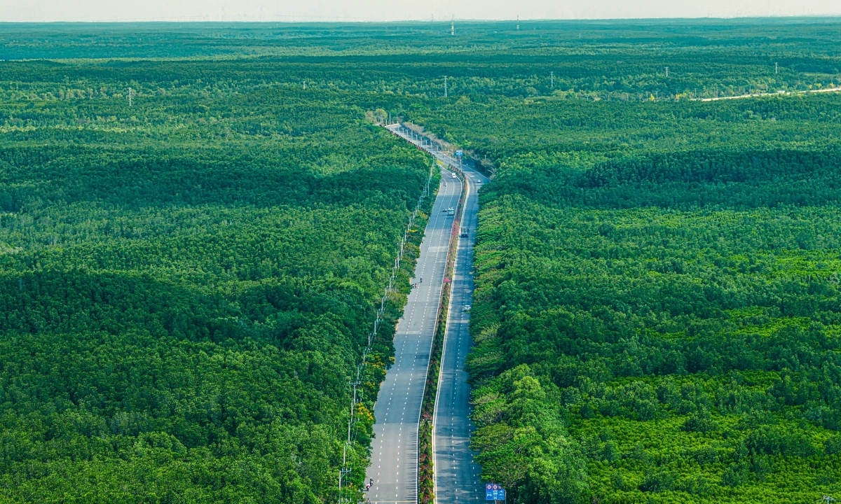 Cần Giờ - điểm giao thoa giữa thiên nhiên và đô thị tương lai