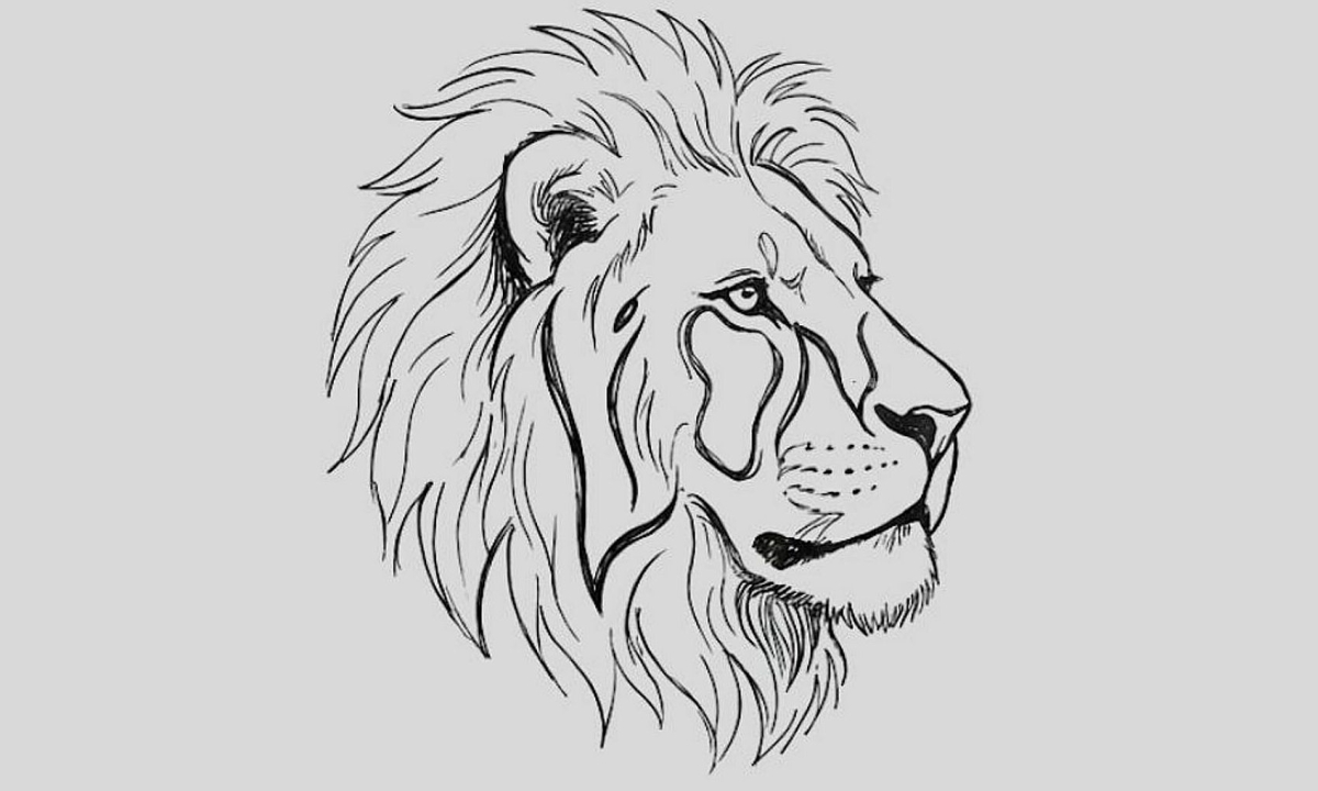 Mắt 10/10 mới thấy chữ đang lẫn trốn trong ảnh