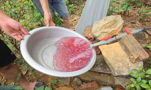 Nước đổi màu tím - Tin tức mới nhất 24h qua - Báo VnExpress