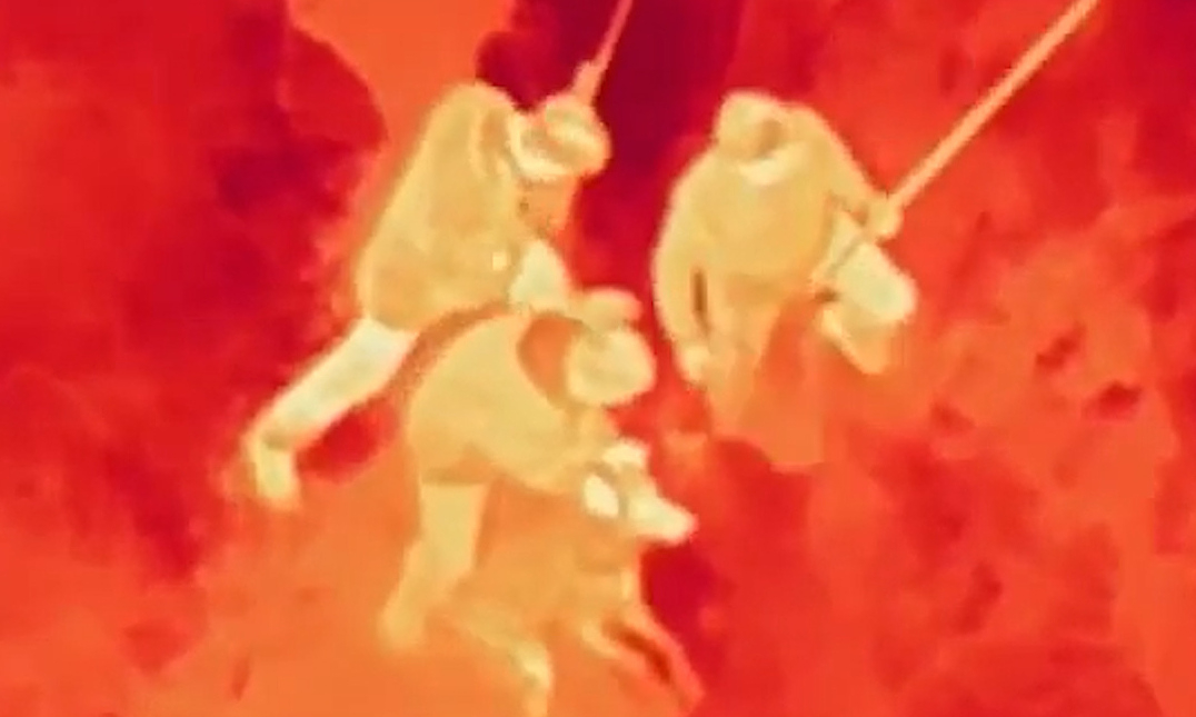 Dùng drone gắn camera nhiệt truy bắt sói sổng khỏi vườn thú ở Hàn Quốc